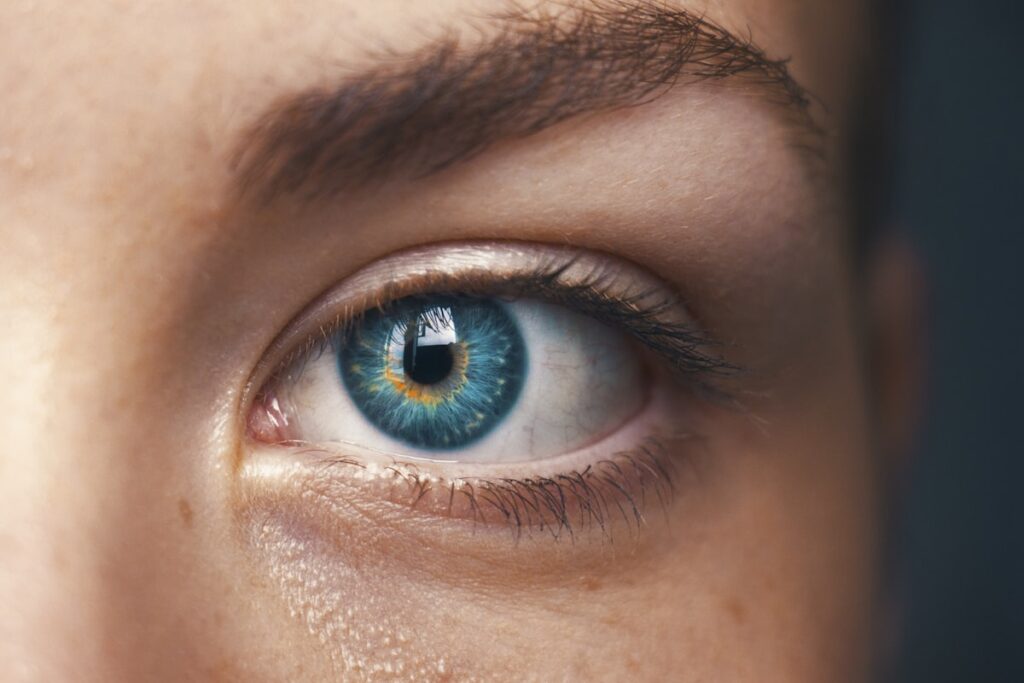 Close-up of a human eye